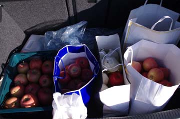 トランクいっぱいのりんご.jpg