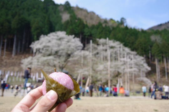 桜餅.jpg